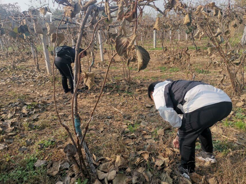 01e93f33683a476eb687a9781d025c97.jpg 01e93f33683a476eb687a9781d025c97.jpg