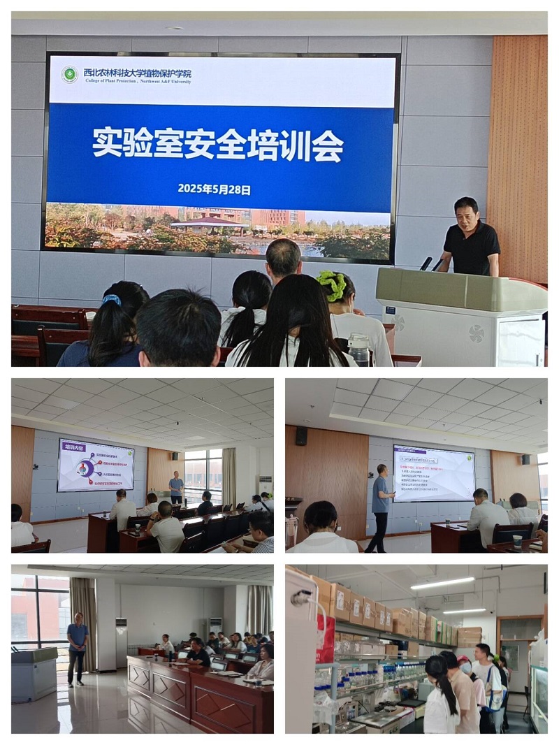 QQ图片20250529160725.jpg
