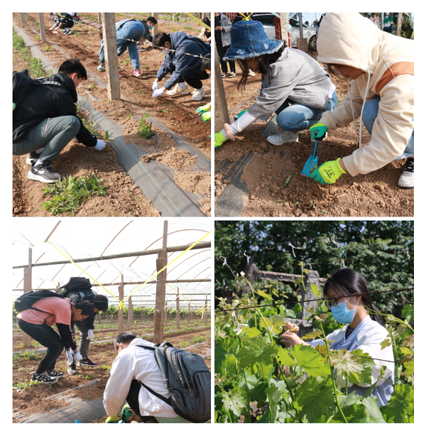 0d3df3d867424886881f979eae2d670d.png WPS图片-拼图.png