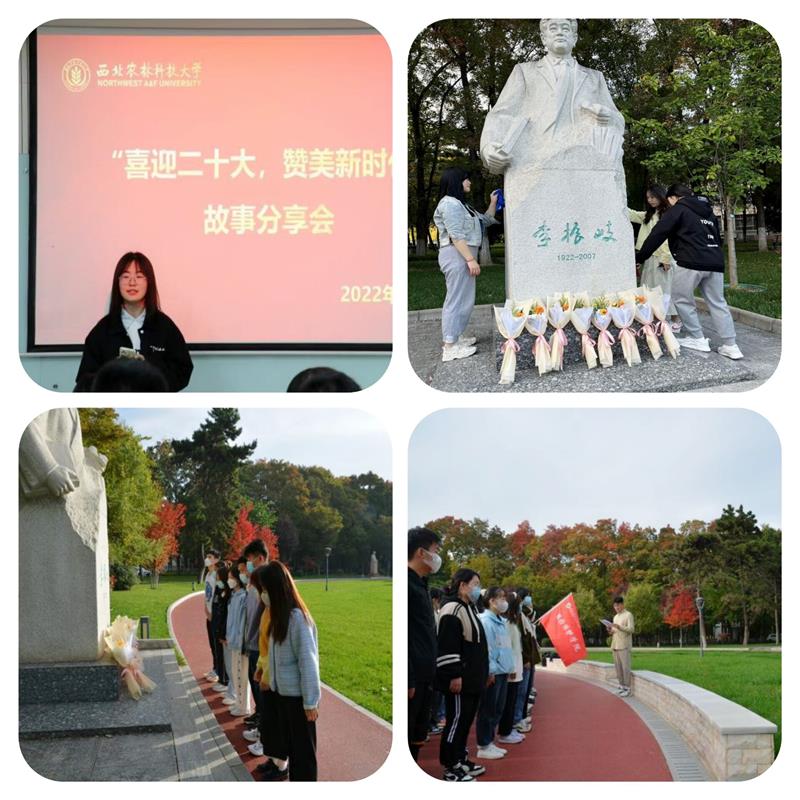 d38227129abf4732ab221314b74b4f4c.jpg 567BEE88000000.jpg